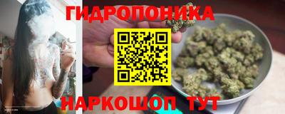 ALPHA PVP Пугачёв