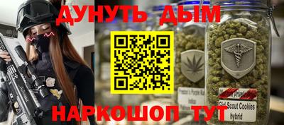 мдпв Пушкино
