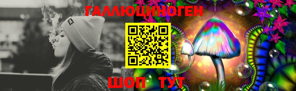 Псилоцибиновые грибы Psilocybe  Псилоцибиновые грибы ЛСД  Вход с VPN  Тайшет 