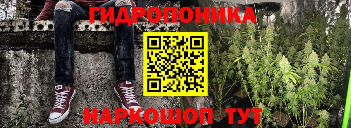 Марихуана планчик  МАРИХУАНА OG Kush  Конопля ГИДРОПОН  Бошки марихуана Ganja  Вход с VPN  Тайшет 